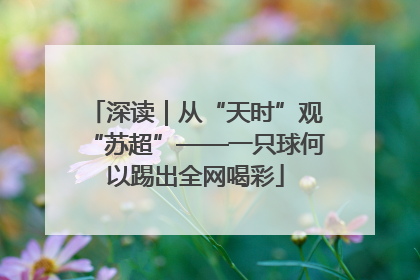 深读｜从“天时”观“苏超”——一只球何以踢出全网喝彩