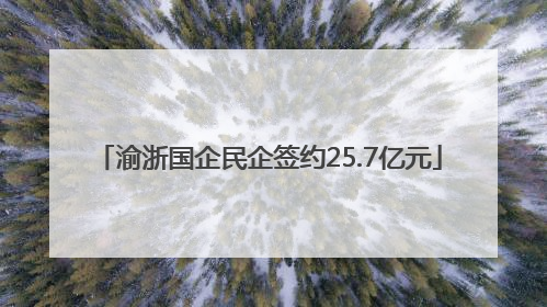 渝浙国企民企签约25.7亿元