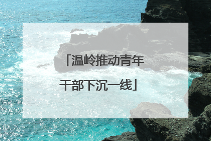 温岭推动青年干部下沉一线