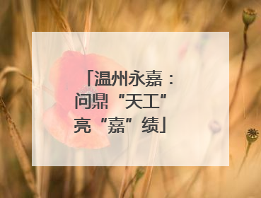 温州永嘉：问鼎“天工”亮“嘉”绩