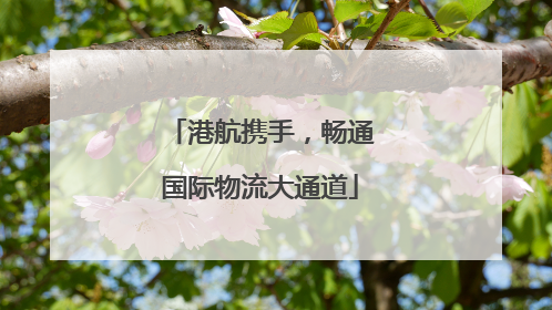 港航携手，畅通国际物流大通道