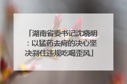 湖南省委书记沈晓明：以猛药去疴的决心坚决刹住违规吃喝歪风