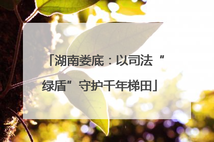 湖南娄底：以司法“绿盾”守护千年梯田