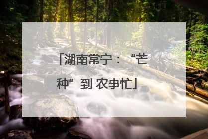 湖南常宁：“芒种”到 农事忙