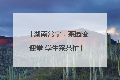 湖南常宁：茶园变课堂 学生采茶忙