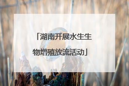 湖南开展水生生物增殖放流活动