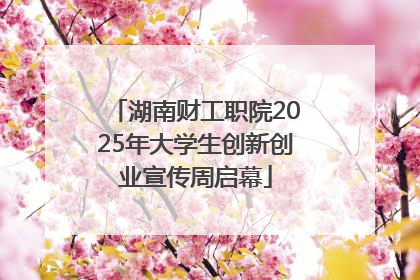 湖南财工职院2025年大学生创新创业宣传周启幕