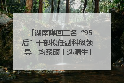 湖南隆回三名“95后”干部拟任副科级领导，均系硕士选调生