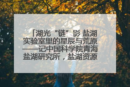 湖光“链”影 盐湖实验室里的星辰与荒原——记中国科学院青海盐湖研究所，盐湖资源化学实验室党总支书记、副主任刘忠