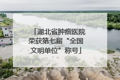 湖北省肿瘤医院荣获第七届“全国文明单位”称号