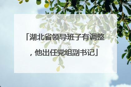 湖北省领导班子有调整，他出任党组副书记