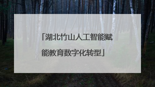 湖北竹山人工智能赋能教育数字化转型