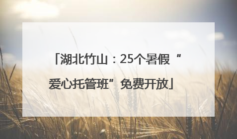 湖北竹山：25个暑假“爱心托管班”免费开放