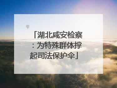 湖北咸安检察：为特殊群体撑起司法保护伞
