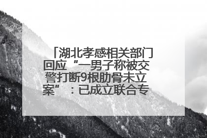 湖北孝感相关部门回应“一男子称被交警打断9根肋骨未立案”：已成立联合专班开展工作