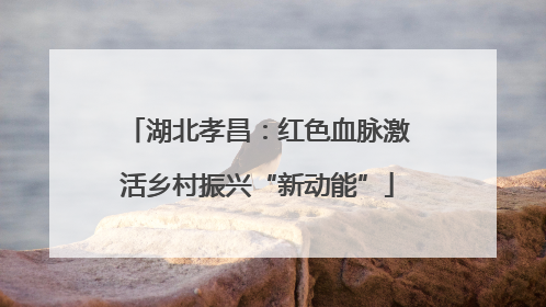 湖北孝昌：红色血脉激活乡村振兴“新动能”