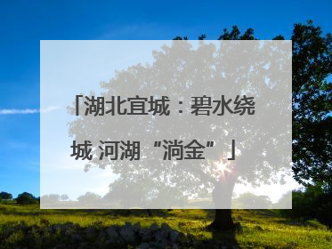 湖北宜城：碧水绕城 河湖“淌金”