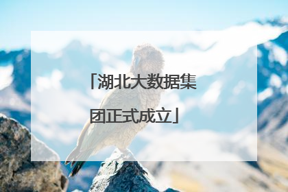 湖北大数据集团正式成立