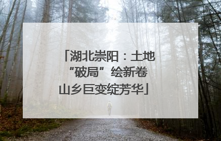湖北崇阳：土地“破局”绘新卷 山乡巨变绽芳华