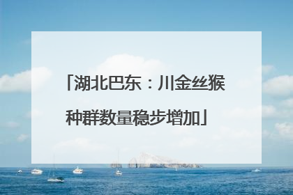 湖北巴东：川金丝猴种群数量稳步增加