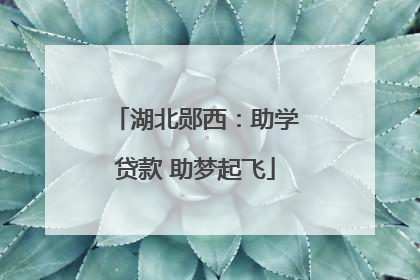 湖北郧西：助学贷款 助梦起飞