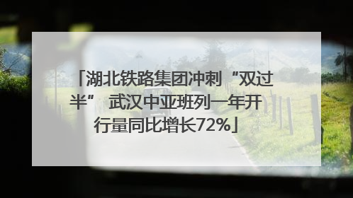 湖北铁路集团冲刺“双过半” 武汉中亚班列一年开行量同比增长72%