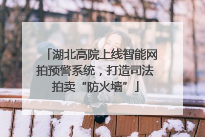 湖北高院上线智能网拍预警系统，打造司法拍卖“防火墙”