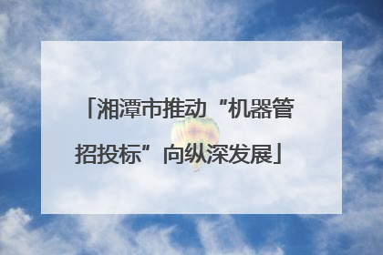 湘潭市推动“机器管招投标”向纵深发展