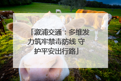 溆浦交通：多维发力筑牢禁毒防线 守护平安出行路
