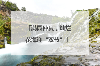 满园仲夏，灿烂花海迎“双节”