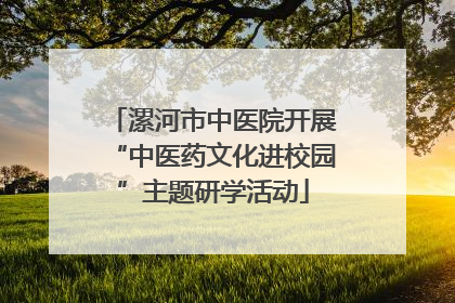 漯河市中医院开展“中医药文化进校园”主题研学活动
