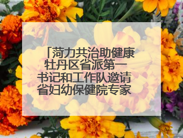 菏力共治助健康 牡丹区省派第一书记和工作队邀请省妇幼保健院专家开展义诊活动