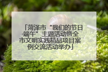 菏泽市“我们的节日·端午”主题活动暨全市文明实践精品项目案例交流活动举办