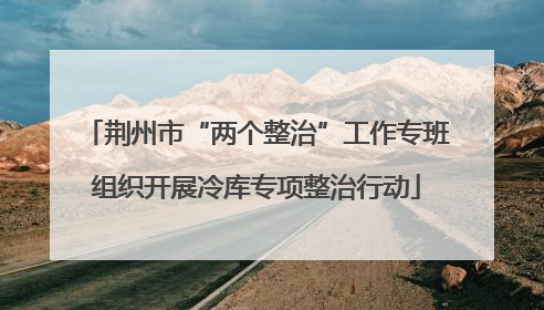 荆州市“两个整治”工作专班组织开展冷库专项整治行动