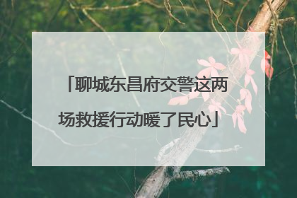 聊城东昌府交警这两场救援行动暖了民心