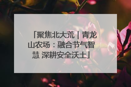 聚焦北大荒｜青龙山农场：融合节气智慧 深耕安全沃土