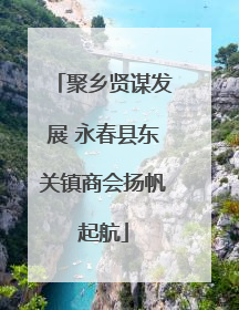 聚乡贤谋发展 永春县东关镇商会扬帆起航