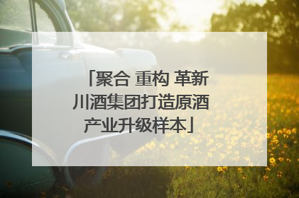 聚合 重构 革新 川酒集团打造原酒产业升级样本