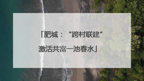 肥城：“跨村联建”激活共富一池春水