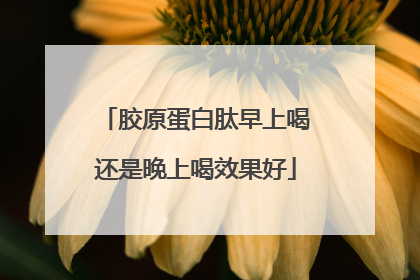 胶原蛋白肽早上喝还是晚上喝效果好