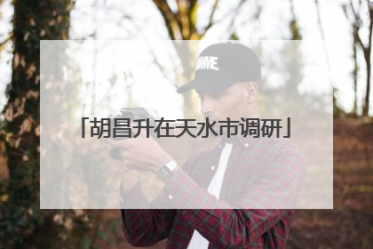 胡昌升在天水市调研