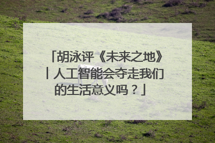 胡泳评《未来之地》︱人工智能会夺走我们的生活意义吗？