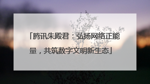 腾讯朱殿君：弘扬网络正能量，共筑数字文明新生态