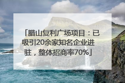 腊山复利广场项目：已吸引20余家知名企业进驻，整体招商率70%
