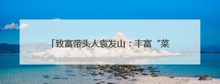 致富带头人袁发山：丰富“菜篮子”鼓起了农民“钱袋子”