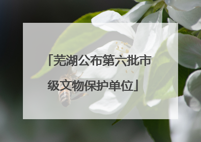 芜湖公布第六批市级文物保护单位