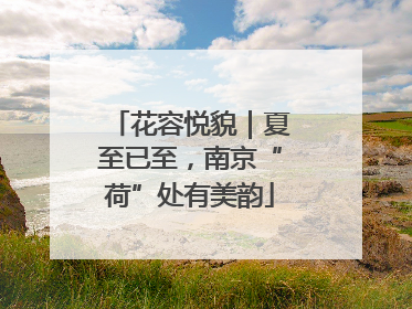 花容悦貌｜夏至已至，南京“荷”处有美韵