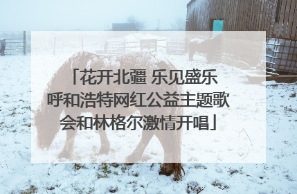 花开北疆 乐见盛乐 呼和浩特网红公益主题歌会和林格尔激情开唱