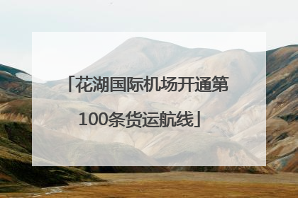 花湖国际机场开通第100条货运航线