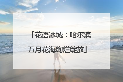 花语冰城：哈尔滨五月花海绚烂绽放